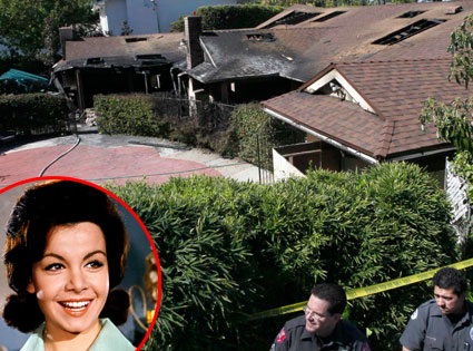 Annette Funicello Annette Funicello